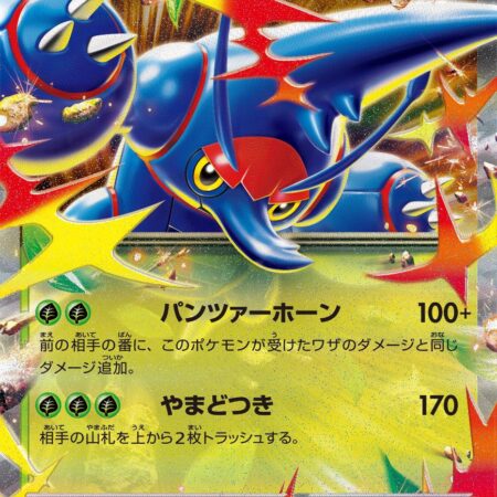 Mega Heracross ex #4