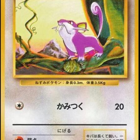 Rattata #19