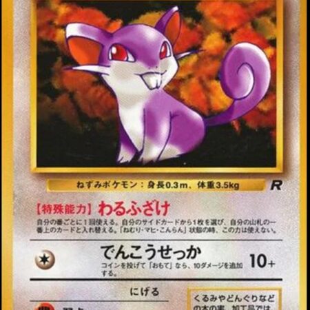 Rattata #19