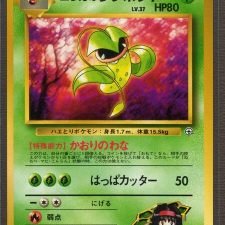 Erika's Victreebel #71