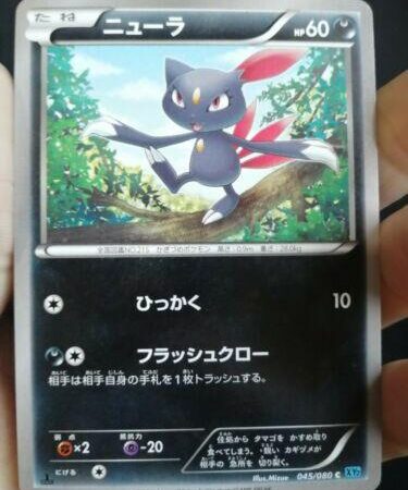 Sneasel #45