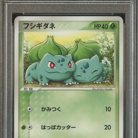 Bulbasaur #1