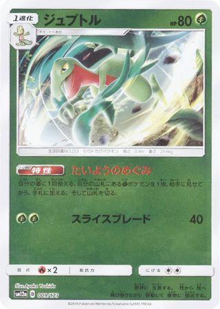 Grovyle #9