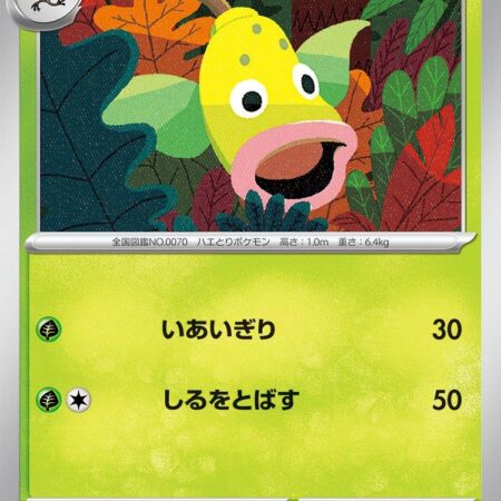 Weepinbell #70