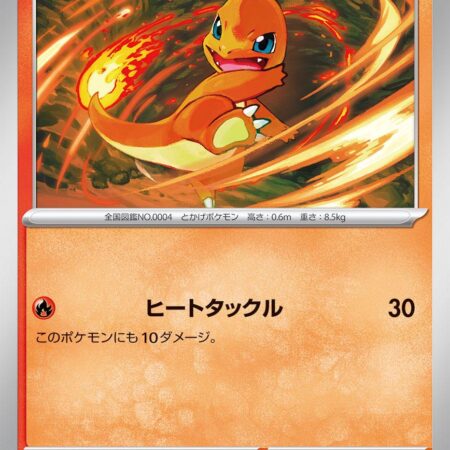 Charmander #12