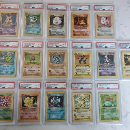 Set Shadowless Completo Holo - Base Set Shadowless - PSA 6/7/8 Eng